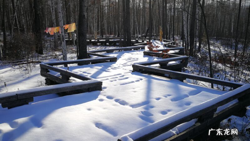 魔兽争霸3冰封王座1.24e 魔兽3冰封王座124e