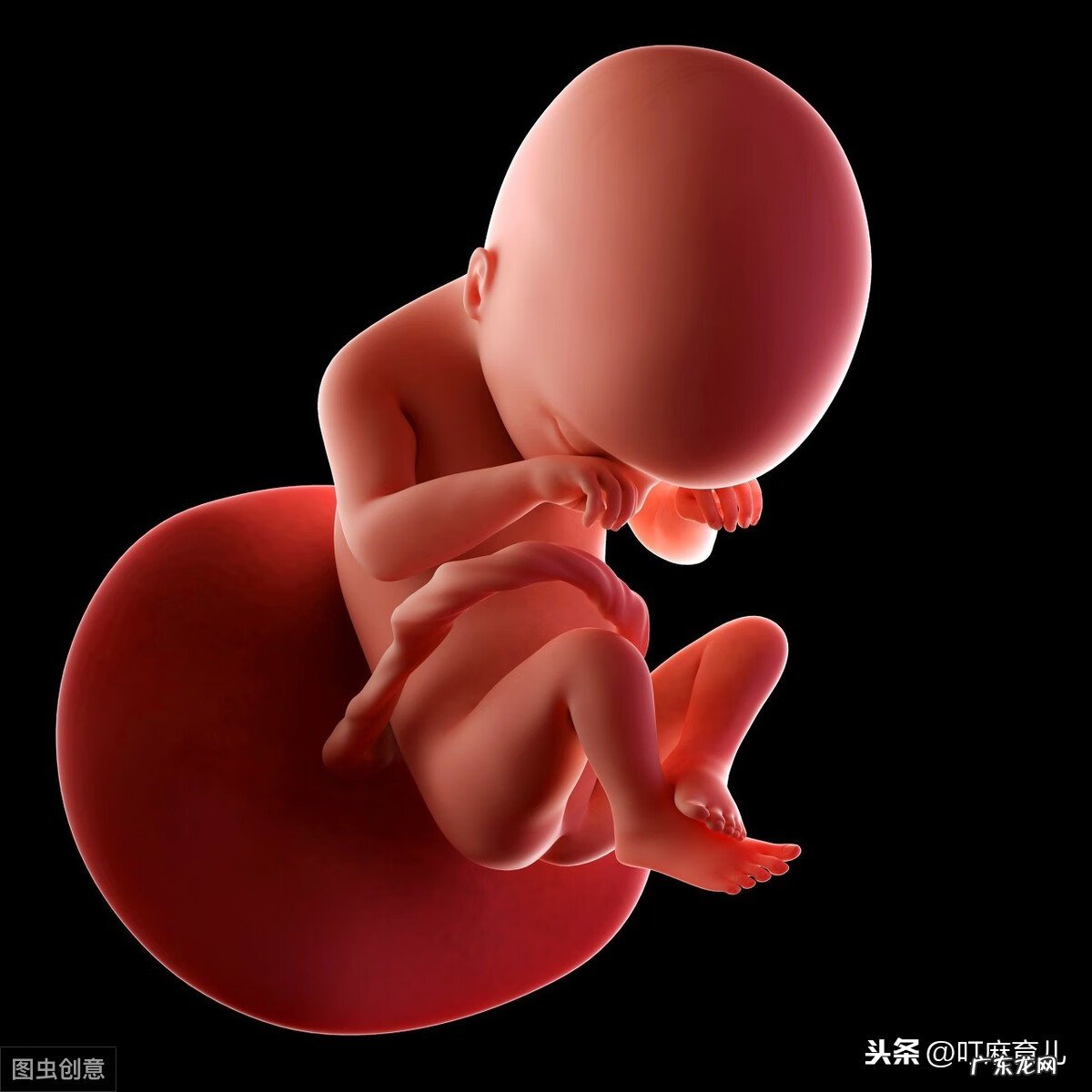 胎动总是在右边 胎动在右边正常吗