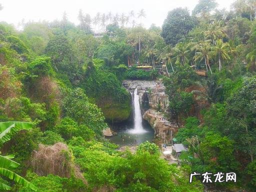 巴厘岛旅游攻略百科 巴厘岛自助游详细攻略