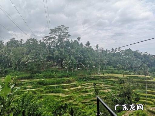 巴厘岛旅游攻略百科 巴厘岛自助游详细攻略