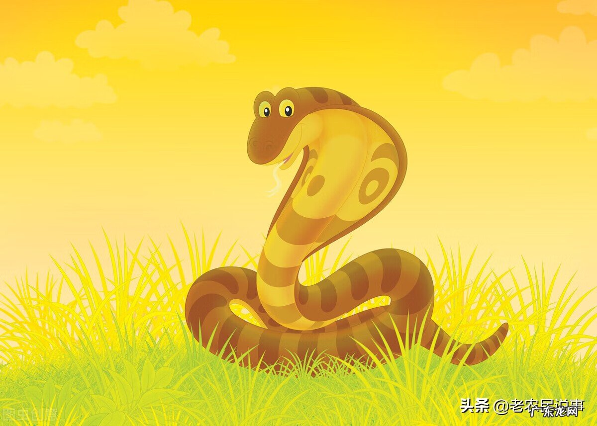 风水学上说的砂是什么意思 蛇总来家意味着什么