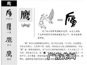 鹰的拼音与组词 鹰的组词二年级上册语文