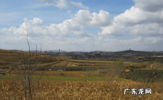 辰龙网 风水辰龙入首
