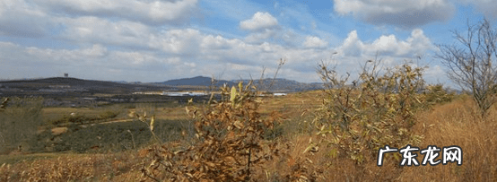 辰龙网 风水辰龙入首