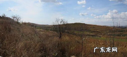 辰龙网 风水辰龙入首