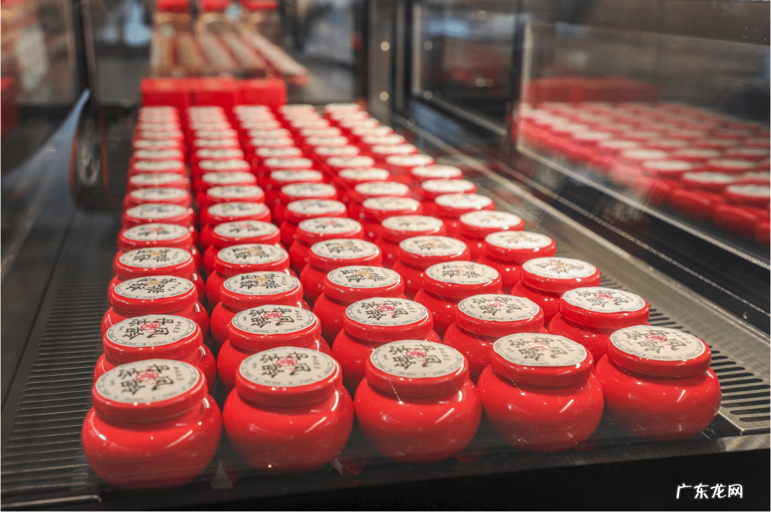 百懂百科 百知教育