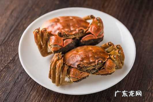 大闸蟹是高胆固醇吗 梭子蟹和大闸蟹哪个胆固醇高些