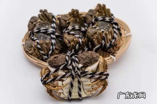 大闸蟹是高胆固醇吗 梭子蟹和大闸蟹哪个胆固醇高些