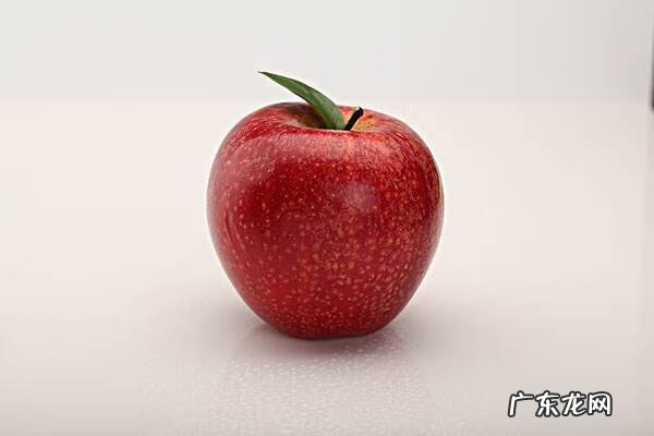 HBV基因组结构 hbvdna