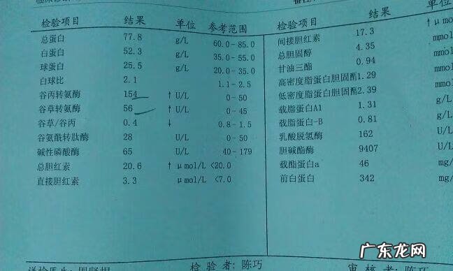 HBV基因组结构 hbvdna