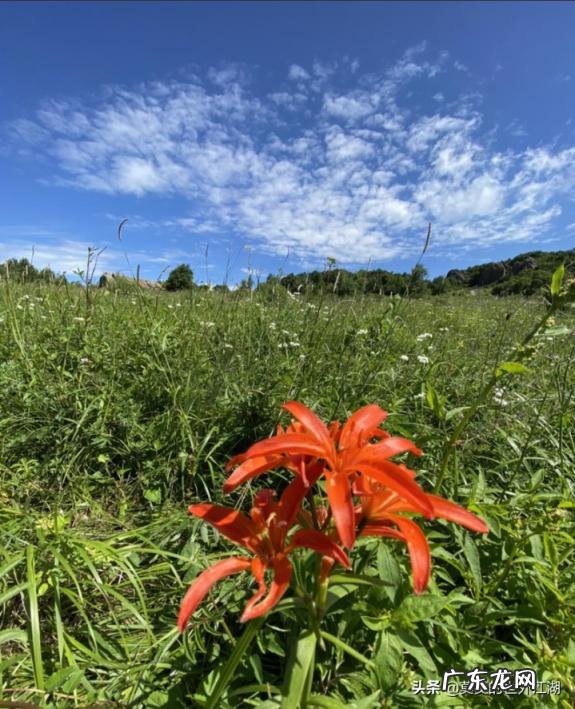 白草畔自然风景区电话号码 高山好玩的地方