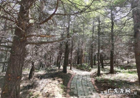 白草畔自然风景区电话号码 高山好玩的地方