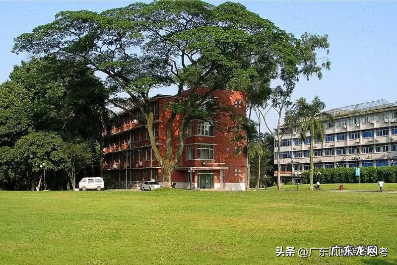 艺考培训机构排行榜前十 艺考培训哪家好