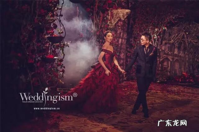 海芋养在家里风水好不 海芋花的寓意