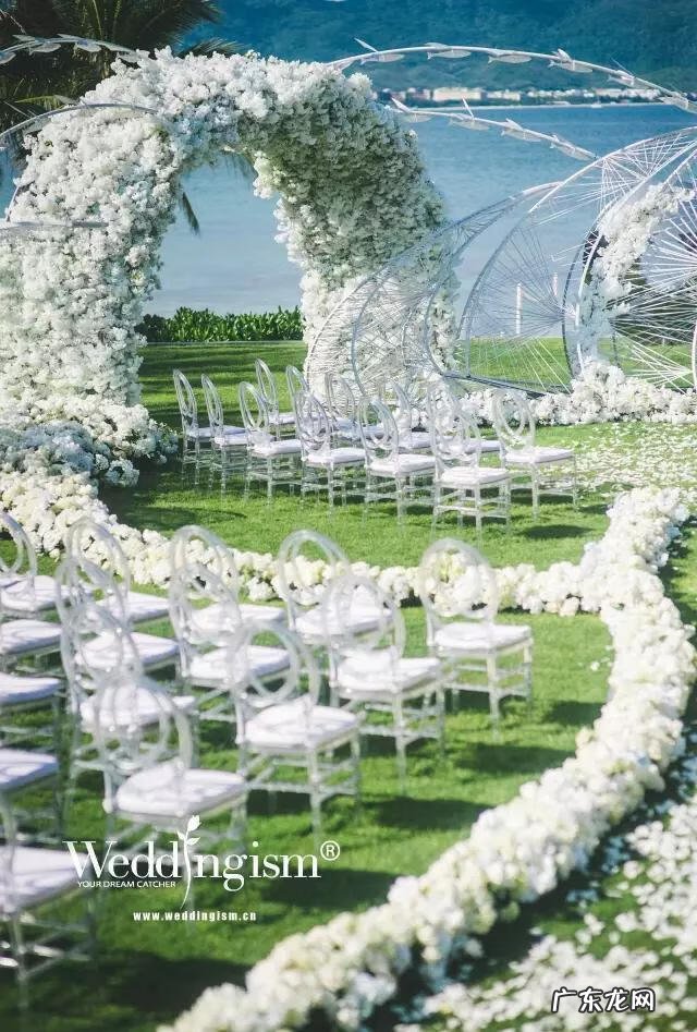 海芋养在家里风水好不 海芋花的寓意