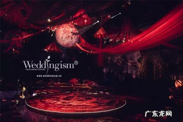 海芋养在家里风水好不 海芋花的寓意