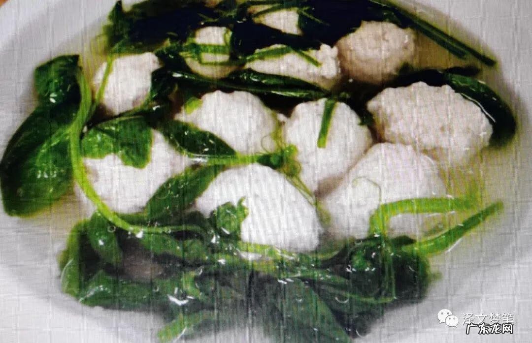 豌豆苗品种 豌豆苗图片