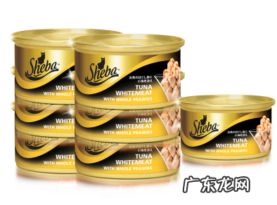 猫粮种类大全 猫主粮是什么