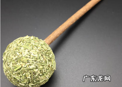 猫粮种类大全 猫主粮是什么