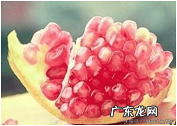 石榴汁弄到衣服上怎么洗 石榴汁弄到衣服怎么洗