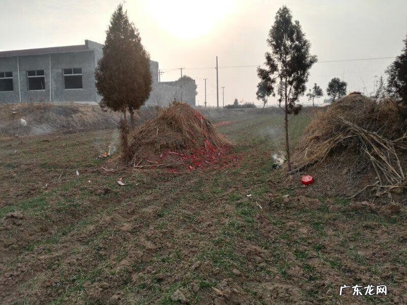 立碑前下雨立好后下雨 做风水下葬立碑后立即下雨好吗视频