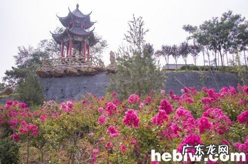 乐不思蜀后面是什么 乐不思蜀是什么意思解释