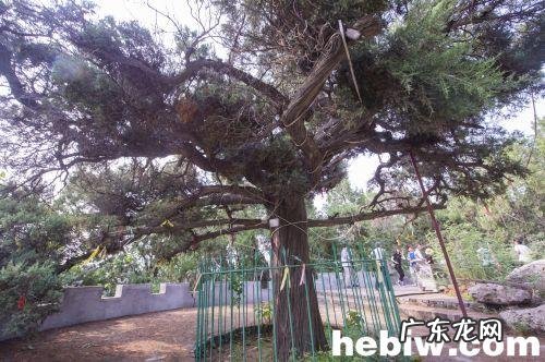 乐不思蜀后面是什么 乐不思蜀是什么意思解释