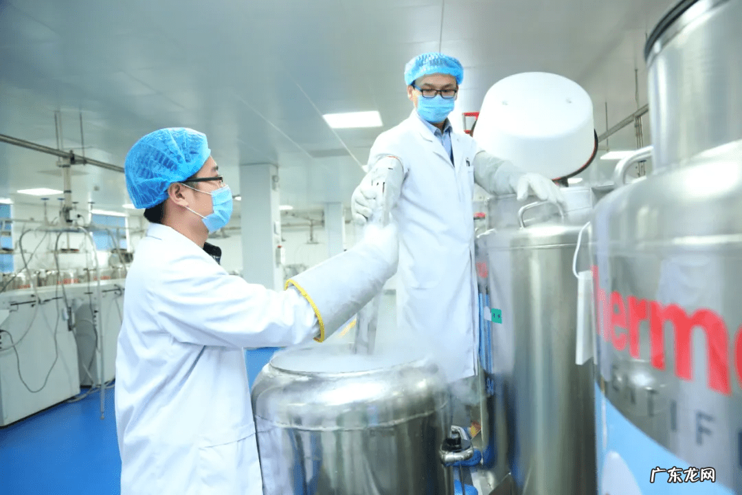 什么情况下做脐带血穿刺 脐带血穿刺怎么做