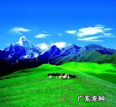 四川著名风水大师 四川理塘风水大事件真相