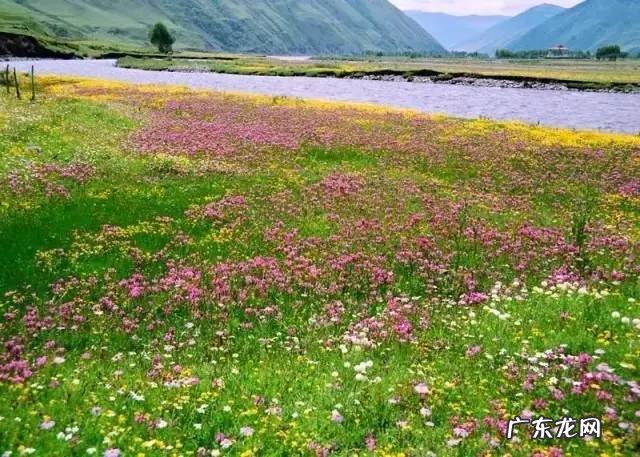 四川著名风水大师 四川理塘风水大事件真相