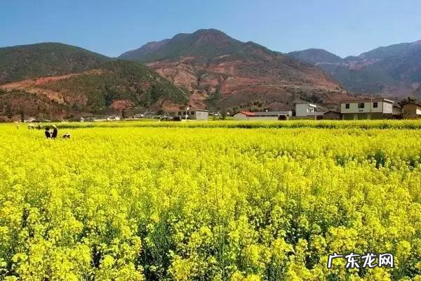 四川著名风水大师 四川理塘风水大事件真相