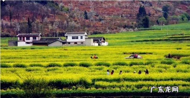 四川著名风水大师 四川理塘风水大事件真相