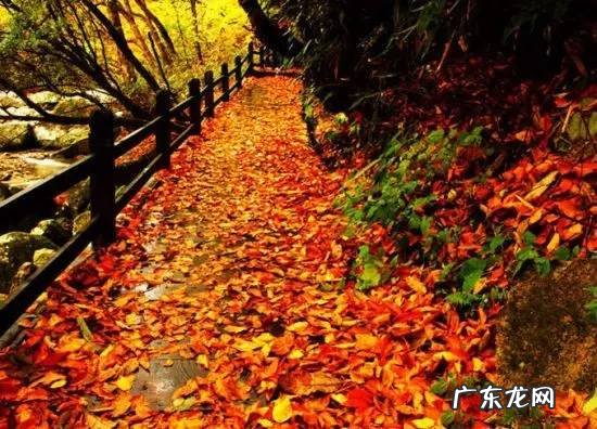 四川著名风水大师 四川理塘风水大事件真相