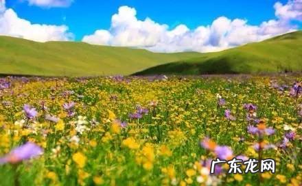 四川著名风水大师 四川理塘风水大事件真相