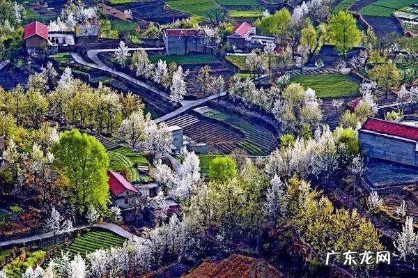 四川著名风水大师 四川理塘风水大事件真相