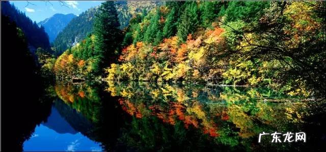 四川著名风水大师 四川理塘风水大事件真相