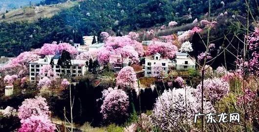 四川著名风水大师 四川理塘风水大事件真相