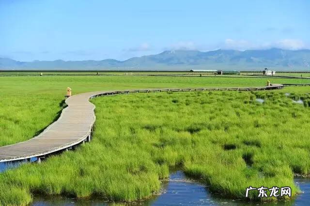 四川著名风水大师 四川理塘风水大事件真相