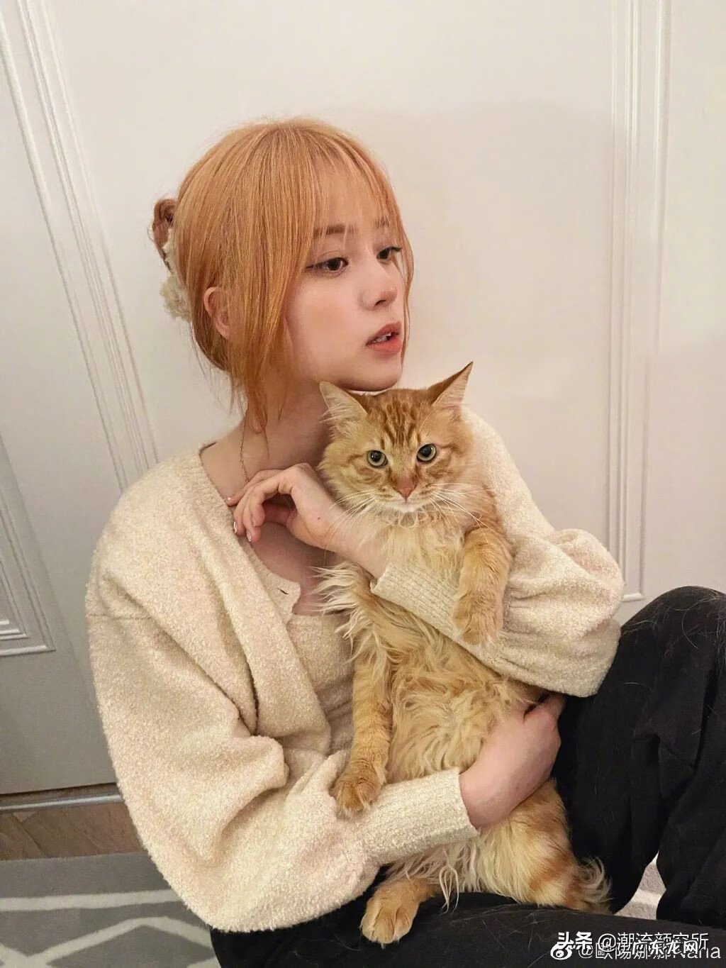 怎么自己扎头发 好看的发型怎么梳?