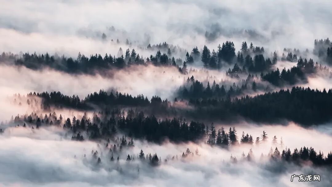 斗战神隐藏知北游任务 斗战神知北游任务流程