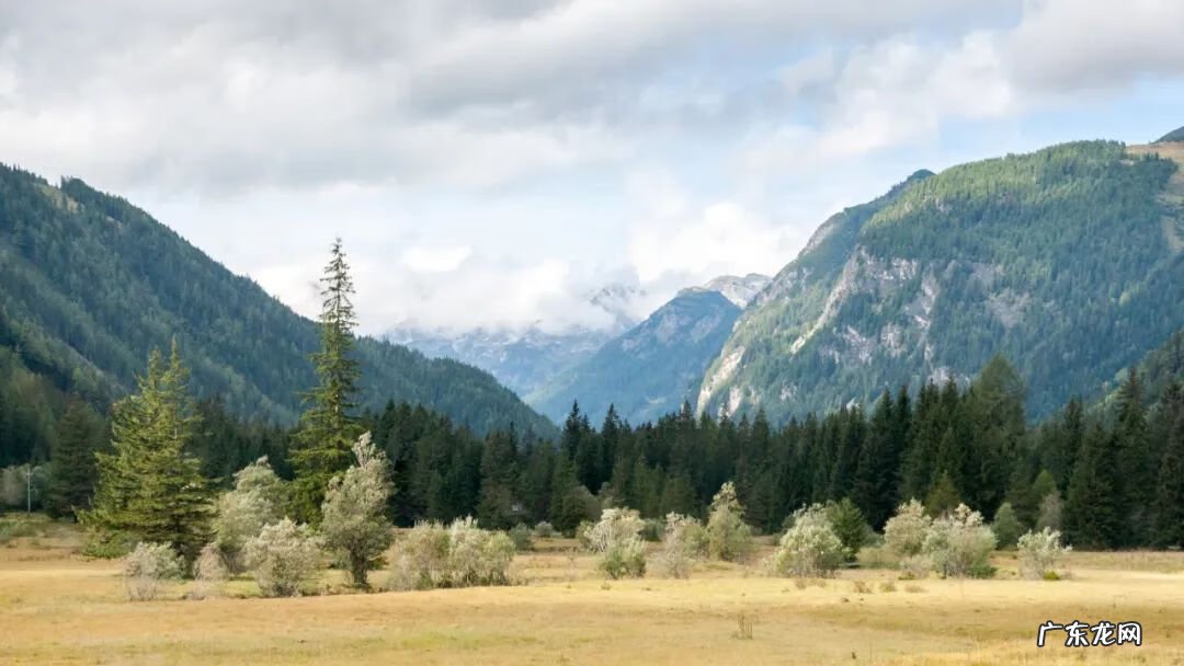 斗战神隐藏知北游任务 斗战神知北游任务流程