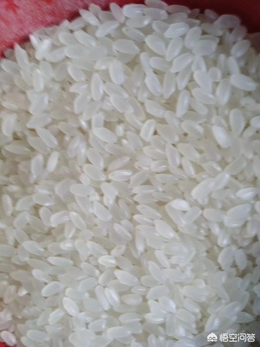 大过年:饺子配酒,越喝越有,这句民间流传的话怎么理解?