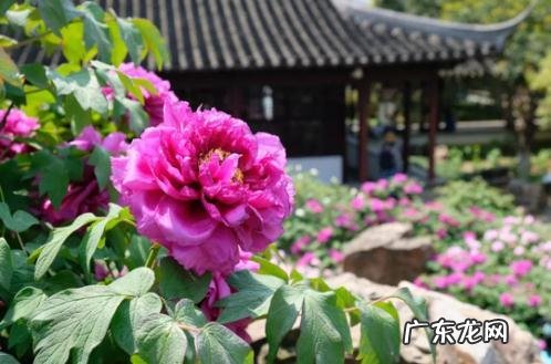 常熟虞山风水 常熟虞山风景介绍