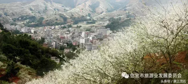 信宜十大风水宝地留题 广东信宜怀乡镇风水宝地