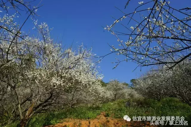 信宜十大风水宝地留题 广东信宜怀乡镇风水宝地