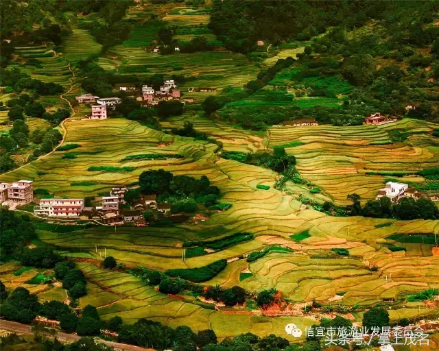 信宜十大风水宝地留题 广东信宜怀乡镇风水宝地