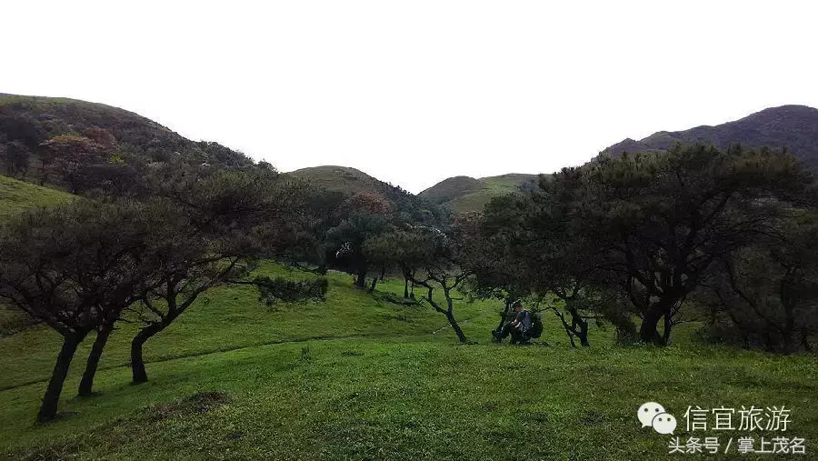 信宜十大风水宝地留题 广东信宜怀乡镇风水宝地