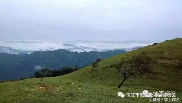 信宜十大风水宝地留题 广东信宜怀乡镇风水宝地