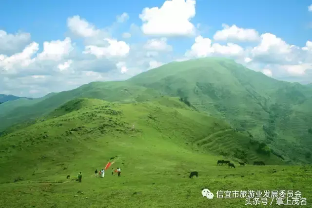 信宜十大风水宝地留题 广东信宜怀乡镇风水宝地