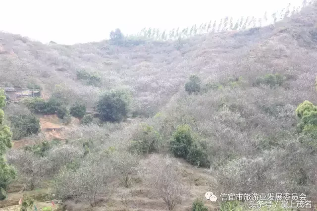 信宜十大风水宝地留题 广东信宜怀乡镇风水宝地